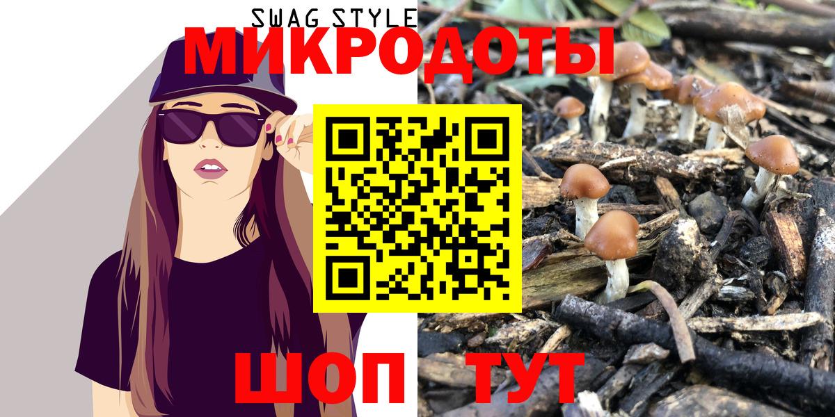 Галлюциногенные грибы прущие грибы Нововоронеж