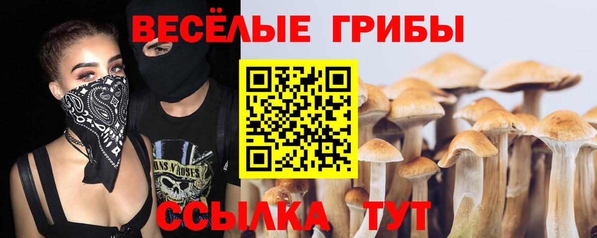 Псилоцибиновые грибы MAGIC MUSHROOMS  Вход с VPN  Нововоронеж 